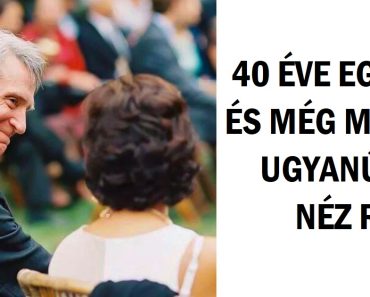 20 pár, akik bebizonyítják, hogy az igaz szerelem nem csak a tündérmesékben létezik