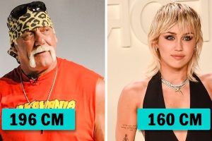 25+ híresség, akik valójában magasabbak vagy alacsonyabbak, mint amilyennek a képernyőn tűnnek