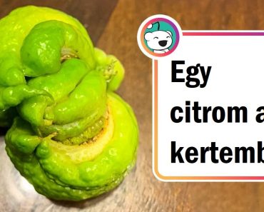 15 alkalom, amikor az emberek felfedeztek valami igazán furcsát