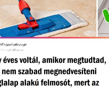 17 internetező, akik véletlenül megfejtették a világunk rejtelmeit