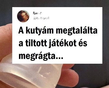 15 fotó, ahol szemmel láthatóan több a dráma, mint egy brazil szappanoperában 15 fotó, ahol szemmel láthatóan több a dráma, mint egy brazil szappanoperában