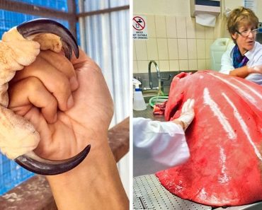 25 szemfelnyitó fotó azok számára, akik azt hiszik már mindent látnak