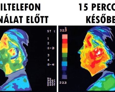 10 meglepő tény, amely lenyűgözött bennünket