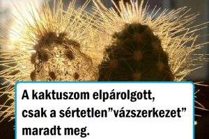 16 alkalom, amikor az emberek olyan dolgot láttak, ami csak keveseknek adatik meg