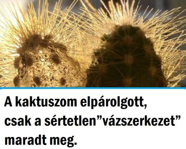 16 alkalom, amikor az emberek olyan dolgot láttak, ami csak keveseknek adatik meg