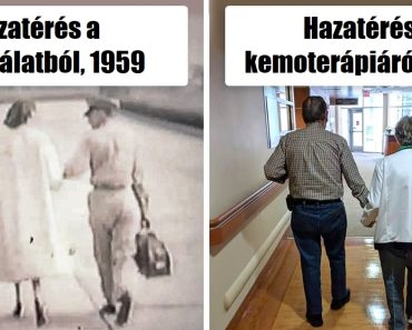 20 kép, amely bebizonyítja, hogy a család egy igazi áldás