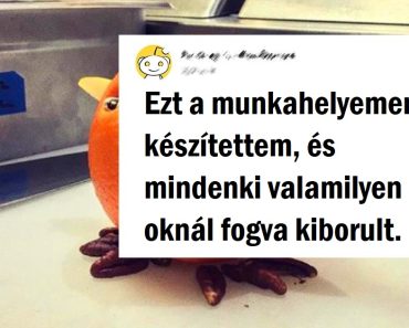 19 ember, aki bebizonyítja, hogy alkalmas a kézművességre