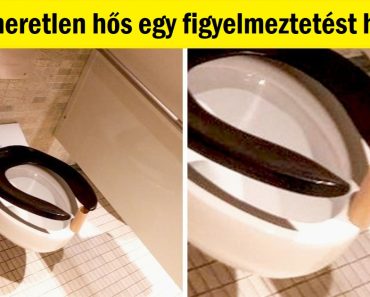 22 fénykép, amely bebizonyítja, hogy a kedvesség tartja össze ezt a világot