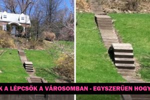 20 ember, akik elgondolkodtattak bennünket, hogy vissza kellene menniük a tervező iskolába