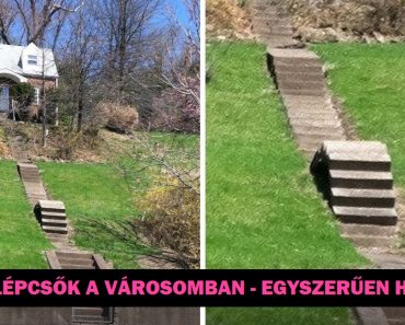 20 ember, akik elgondolkodtattak bennünket, hogy vissza kellene menniük a tervező iskolába