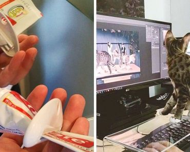 15 remek eszköz, amelyekről soha nem sejtettük volna, hogy szükségünk lenne rá (pedig lenne)