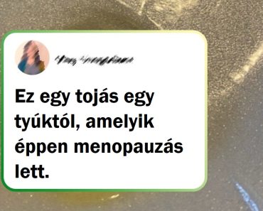 20 ember, aki véletlenül megtalálta a választ sok „Mi történne, ha” kérdésre