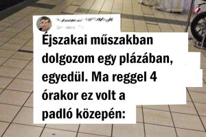 14 kép, amely bebizonyítja, hogy a boltok ugyanolyan menő dolgokat rejtenek, mint éjszaka a múzeumok