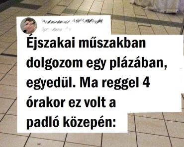 14 kép, amely bebizonyítja, hogy a boltok ugyanolyan menő dolgokat rejtenek, mint éjszaka a múzeumok