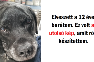 25 szívszorító fénykép, amely csordultig van túláradó szeretettel