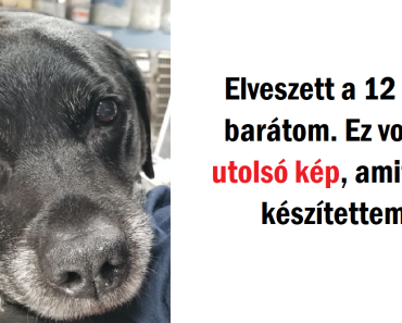25 szívszorító fénykép, amely csordultig van túláradó szeretettel