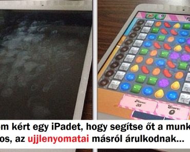 18 élettárs, akik egyértelműen tudják, hogy az együttélés egy igazi vállalkozás