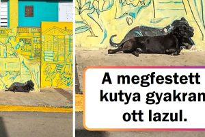 15+ hipnotizáló falfestmény, amely a város falait a modern művészet darabjaivá változtatta