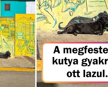 15+ hipnotizáló falfestmény, amely a város falait a modern művészet darabjaivá változtatta