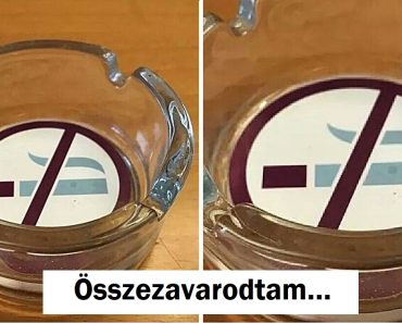 20+ érv, hogy egyes tervezőnek másik munka után kellene néznie