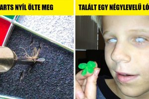 20 kivételes dolog, amit csak egyszer láthatsz az életben