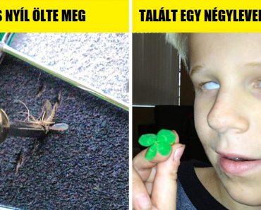 20 kivételes dolog, amit csak egyszer láthatsz az életben