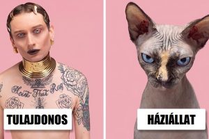 Egy fotós összehasonlítja a háziállatok és gazdáik portréit, és az eredmények túlságosan hasonlítanak, hogy azokat figyelmen kívül hagyjuk