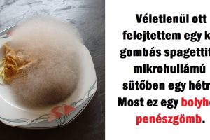 15+ elgondolkodtató kép, ami megmutatja, milyen túlvilági látvány tárulhat elénk, ha kis időre megfeledkezünk a dolgokról