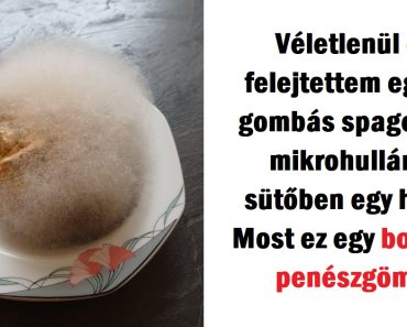 15+ elgondolkodtató kép, ami megmutatja, milyen túlvilági látvány tárulhat elénk, ha kis időre megfeledkezünk a dolgokról