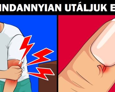 23 tipikus helyzet, amelyben mindannyian voltunk már