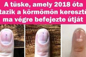 20 ember, aki látott valamit, amit nehezebb észrevenni, mint megnyerni az ötöslottót