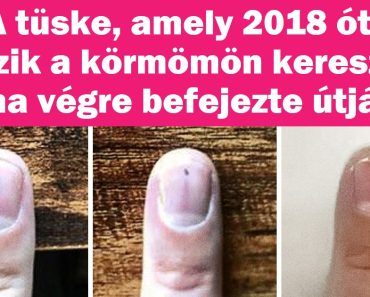 20 ember, aki látott valamit, amit nehezebb észrevenni, mint megnyerni az ötöslottót