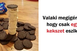 28 ember, aki megmutatja, milyen az, amikor kiparodizálják a fogyókúrát