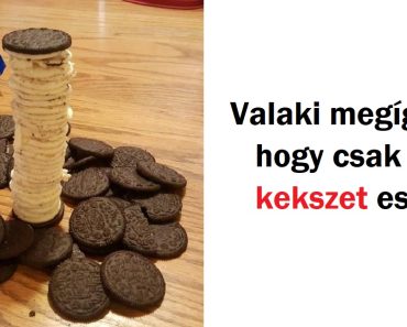 28 ember, aki megmutatja, milyen az, amikor kiparodizálják a fogyókúrát