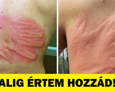 20 kőkemény család, ahol a béke egy ismeretlen fogalom