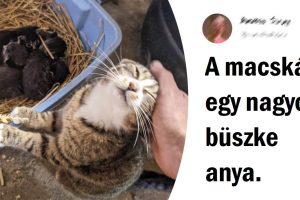 15+ őszinte fotó, ami kellemesebb, mint egy esti habfürdő