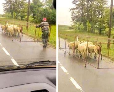 17 férfi, aki képes véghez vinni bármilyen lehetetlen küldetést
