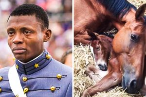 10 fotó, amely mögött egy-egy szívet melengető történet bújik meg