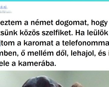 19 állat, aki ellopja az összes figyelmet a szelfikben