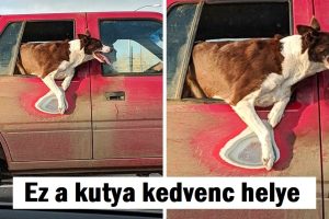 19 varázslatos fotó, amely láthatóvá teszi az időt