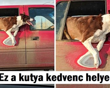 19 varázslatos fotó, amely láthatóvá teszi az időt