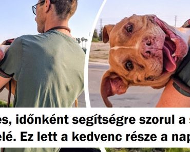15 ember, akik feltétel nélkül szeretik a kiskedvenceiket