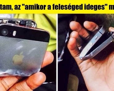 20 fénykép, amely bebizonyítja, hogy a Google csodálatos humorérzékkel rendelkezik