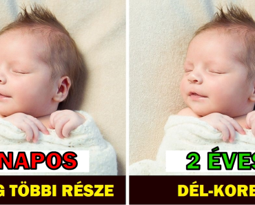 20+ fotó, amelyek bebizonyítják, hogy Dél-Korea a jövőben él