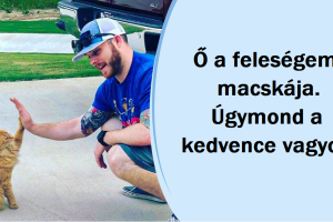 20 állat, akik az emberekben találták meg igazi lelki társukat