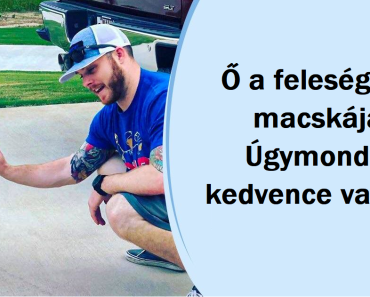 20 állat, akik az emberekben találták meg igazi lelki társukat