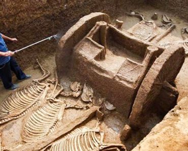 8 lenyűgöző régészeti felfedezés, amely a puszta véletlennek köszönhető