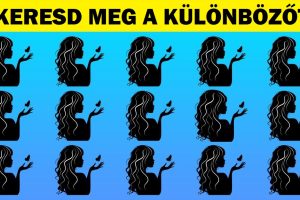 10 kép, amely próbára tesz, hogy mennyire tudsz odafigyelni a részletekre