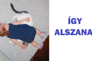 15 fotó, amely bebizonyítja, hogy a gyerekek és a háziállatok ugyanazon puzzle darabjai