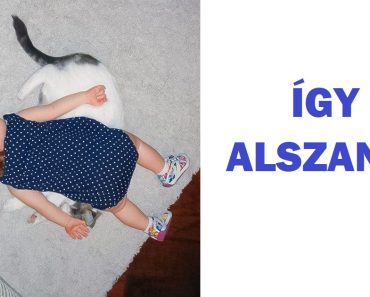 15 fotó, amely bebizonyítja, hogy a gyerekek és a háziállatok ugyanazon puzzle darabjai